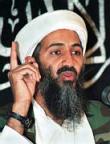 Herr bin Laden
